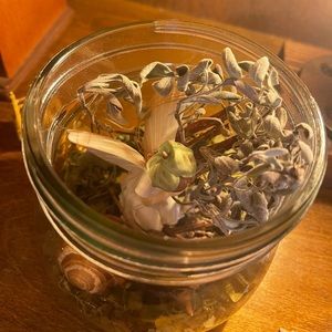 Fall and Winter Fairy Jar